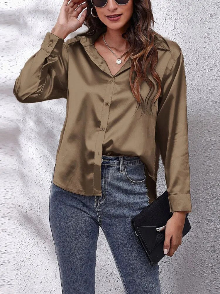 Imitation Silk Long Sleeve Blouse