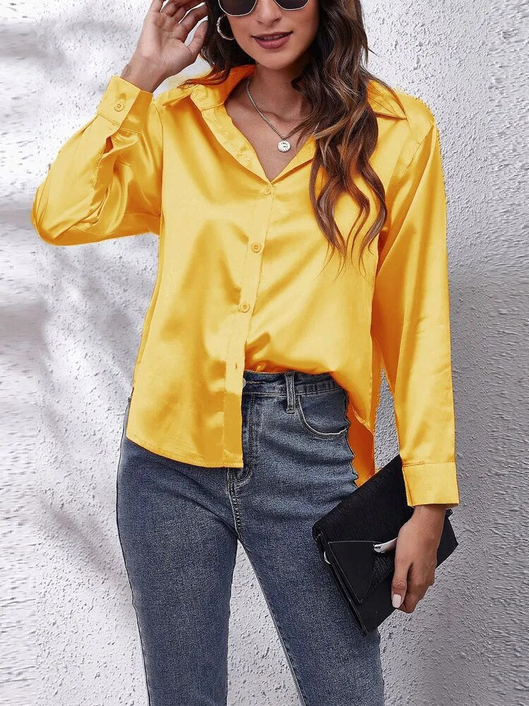 Imitation Silk Long Sleeve Blouse