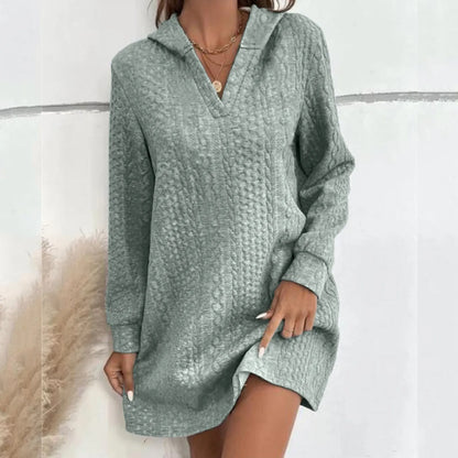 Basic Hooded Daily Going Out Fashion Solid Long Sleeve Casual Women's Dress